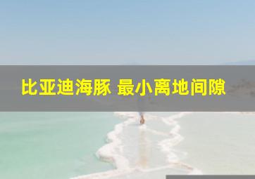 比亚迪海豚 最小离地间隙